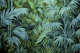 Mystic Jungle Tropical Hideaway Teal Green