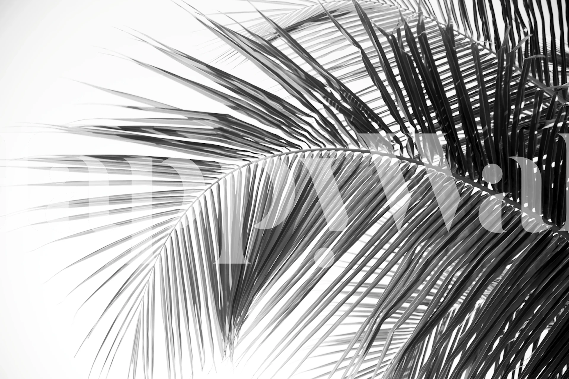 Caribbean palm leaves wallpaper in a room