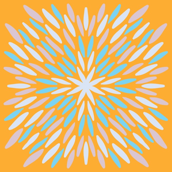 Petal Burst - orange and blue