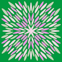 Petal Burst - green and pink tapete