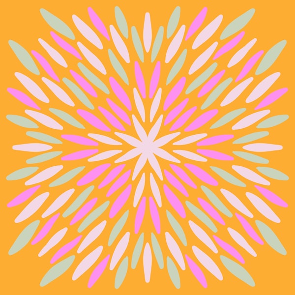 Petal Burst - orange and pink