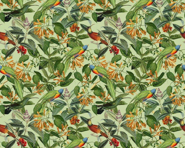 Lorikeets Tropical Jungle Paradise