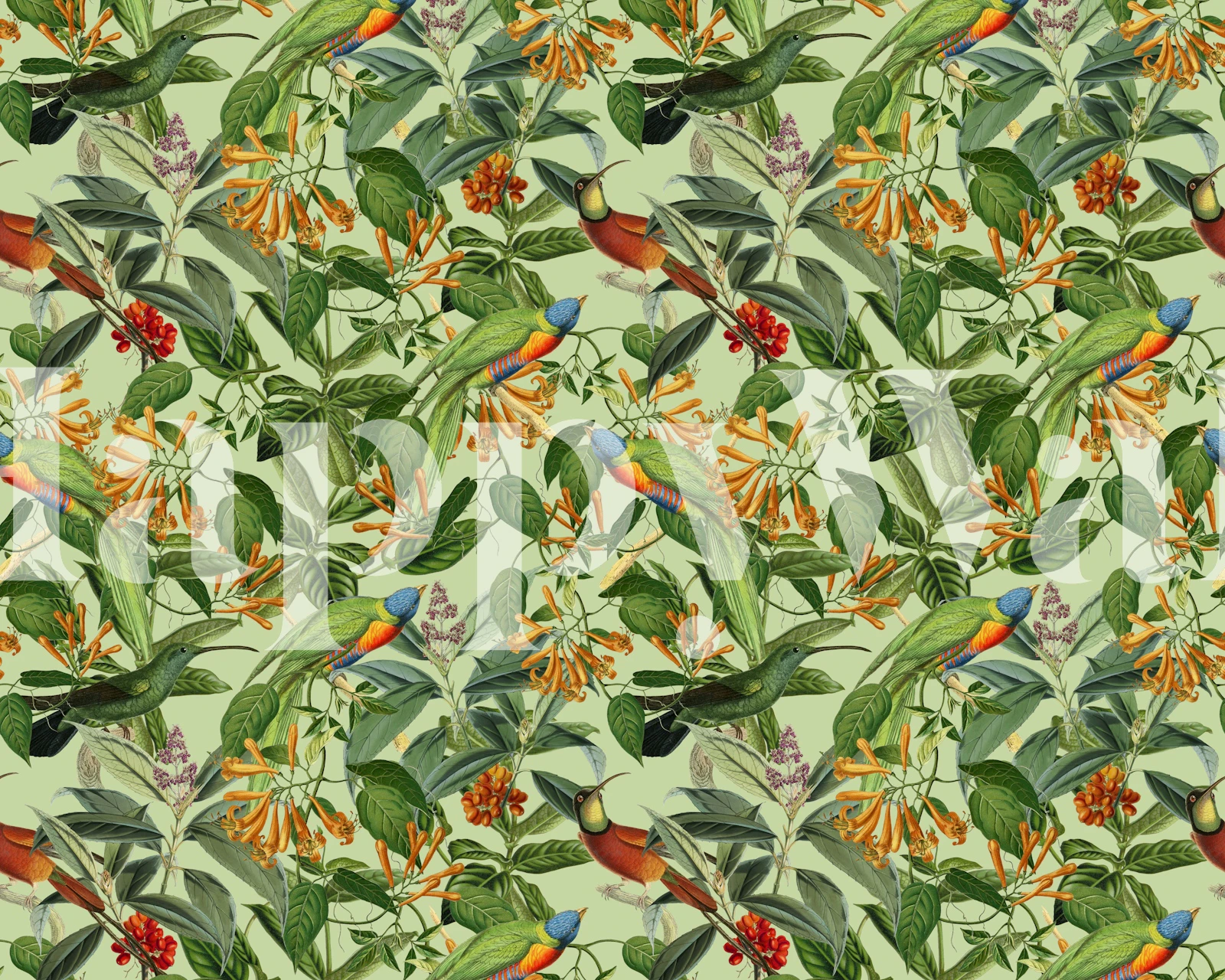 Tropical jungle wallpaper with lorikeets
