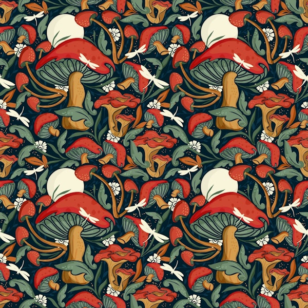 Enchanted mushroom world