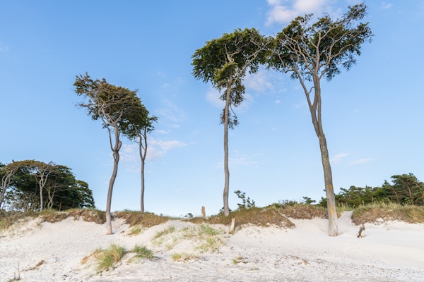 Holliday at Baltic Beach