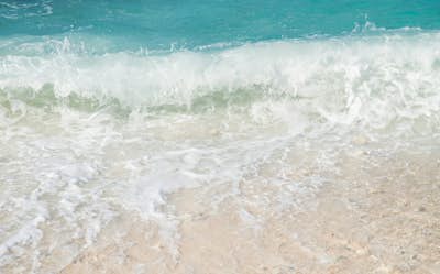 Τοιχογραφία