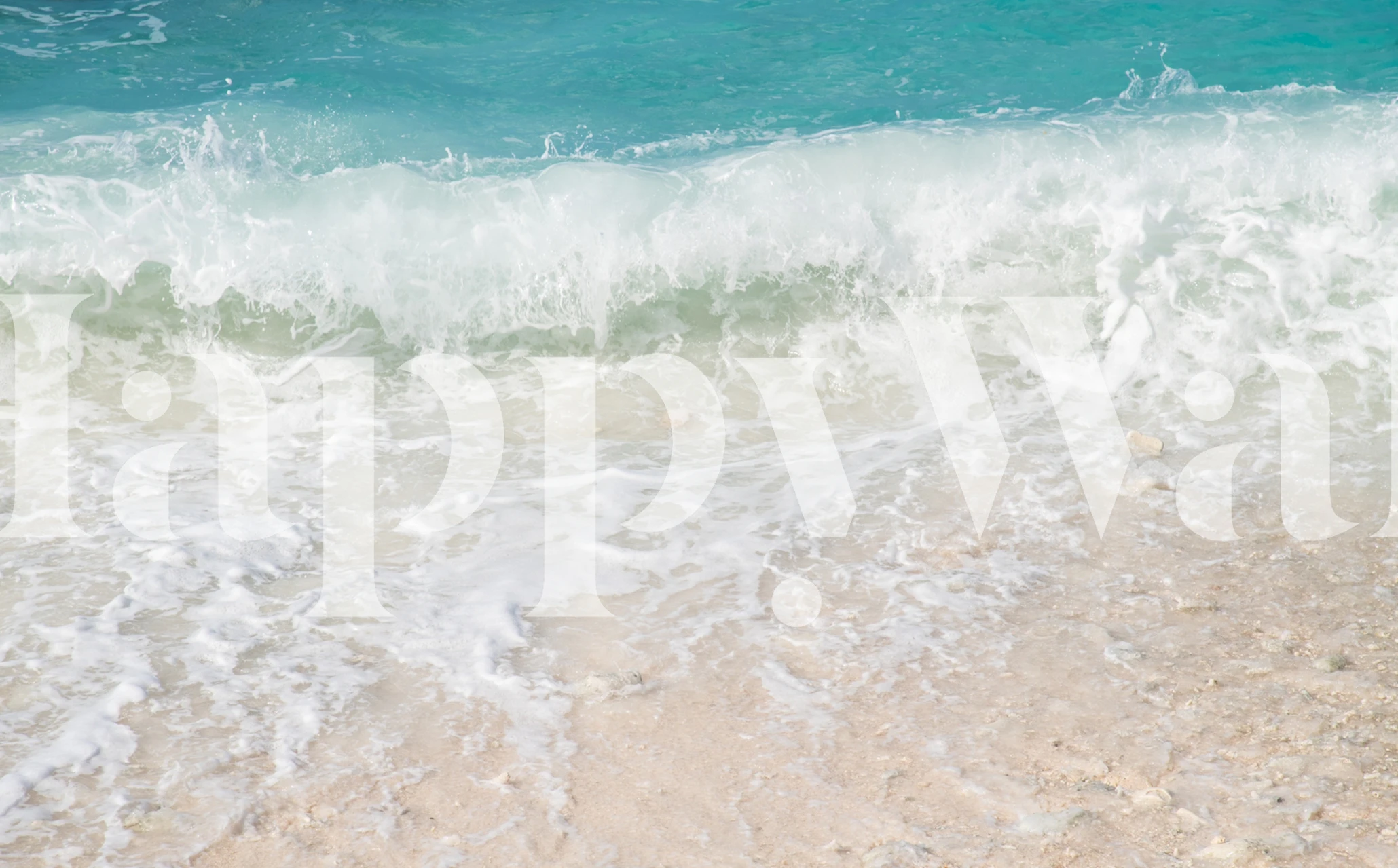 Caribbean Sea Bliss tapet i et rom