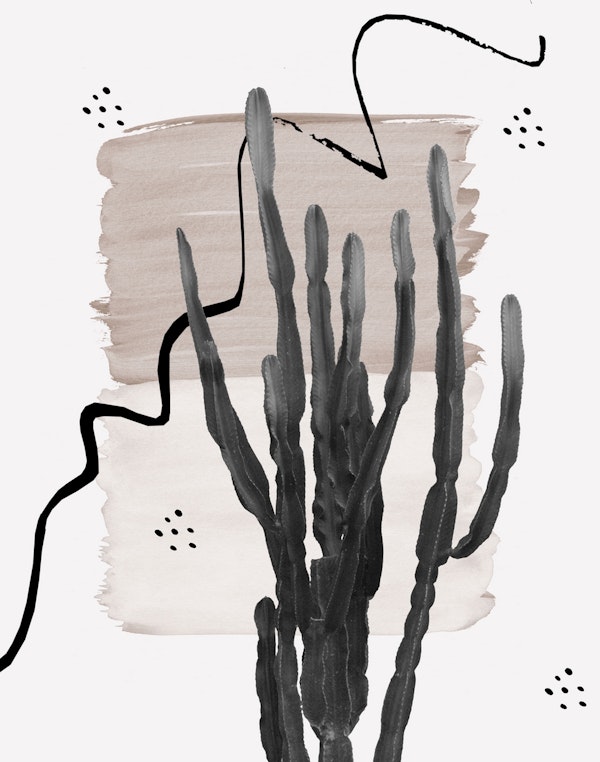 Cactus Abstract Naturelle 1