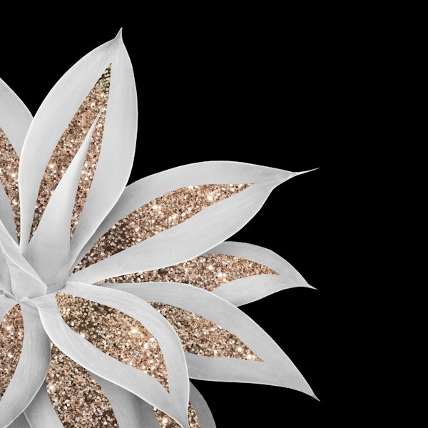 Agave Finesse Glitter 6