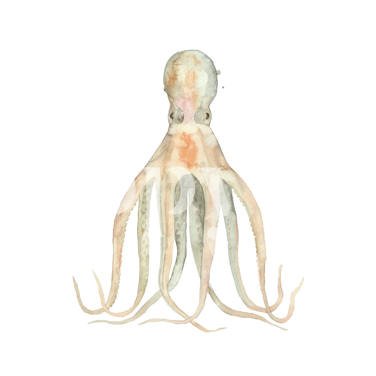 Watercolor octopus in soft peach and gray tones wall mural