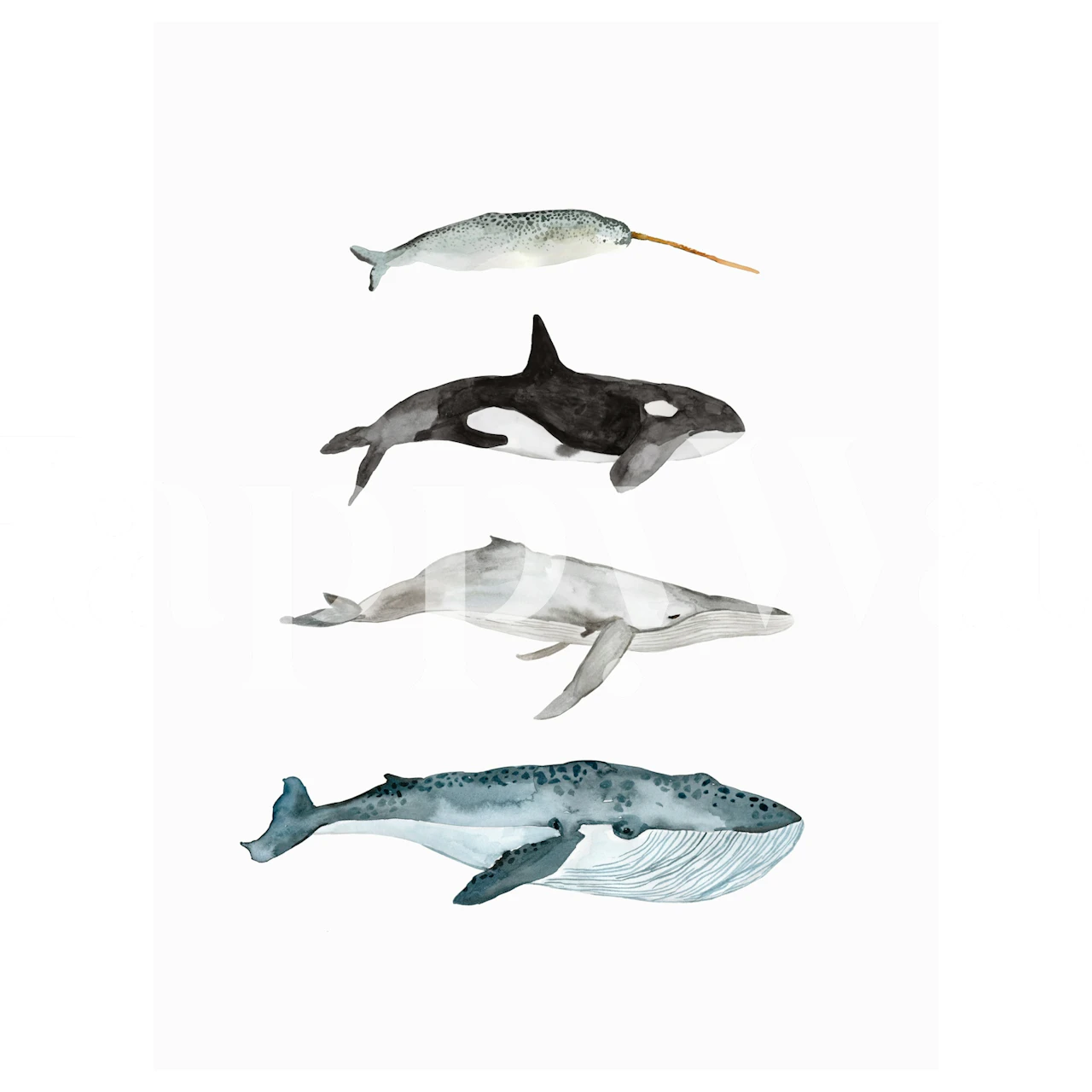 Four whales wallpaper in a room