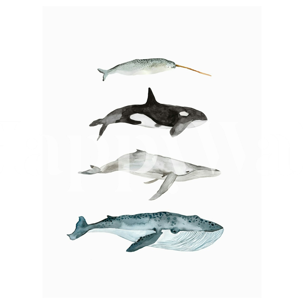 Four whales wallpaper in a room