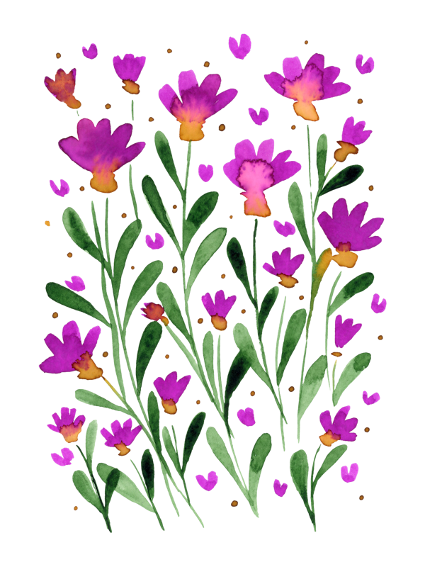 Forget me not flowers - magenta and green