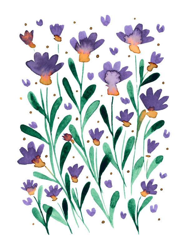 Forget me not flowers - retro periwinkle