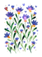 Forget me not flowers - violet