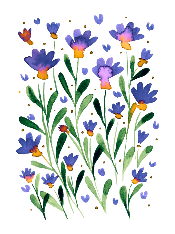 Forget me not flowers - violet