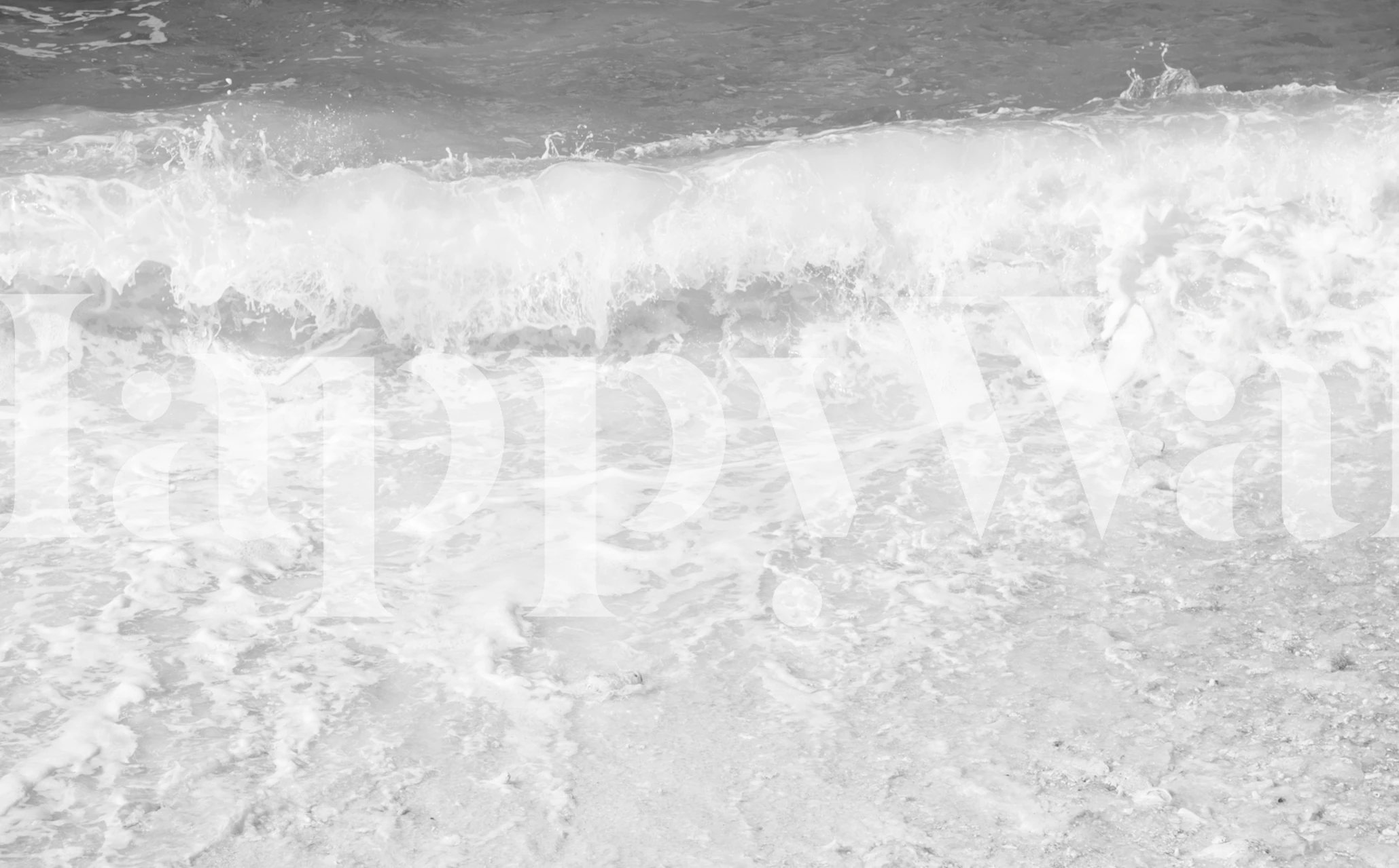 Caribbean Sea Bliss 4 wallpaper in a room