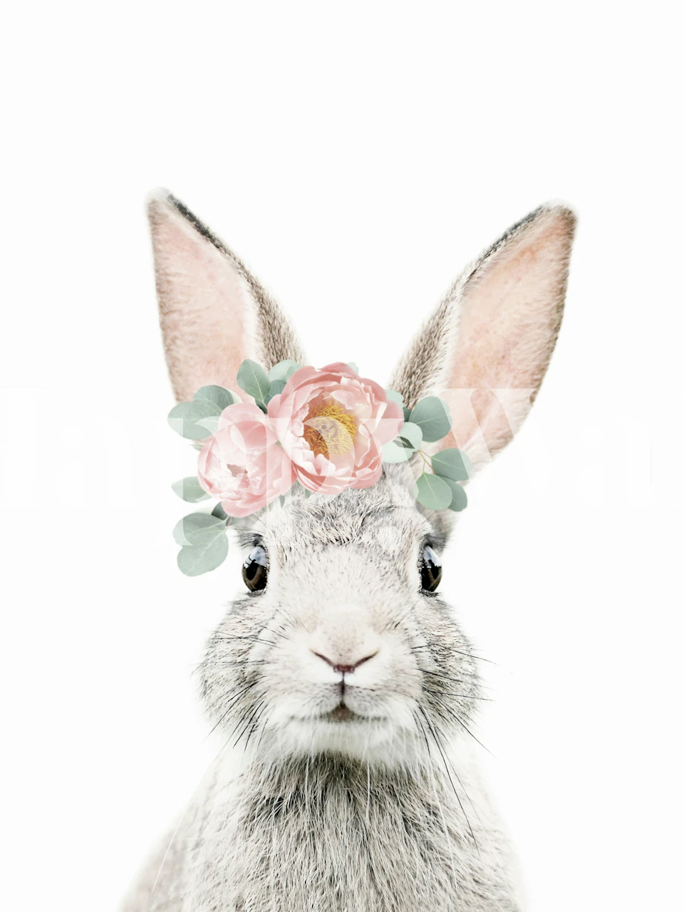Flower Bunny wallpaper featured in a room