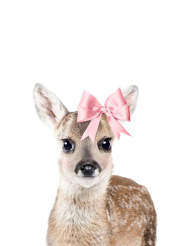 Deer with a bow