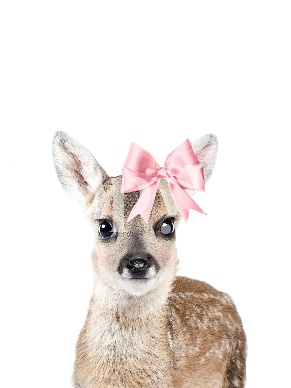 Cute deer with a pink bow on its head, animal wallpaper