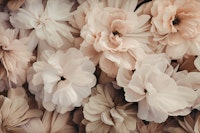 Floral Romance Vintage Nostalgia Pastel Peach tapeta