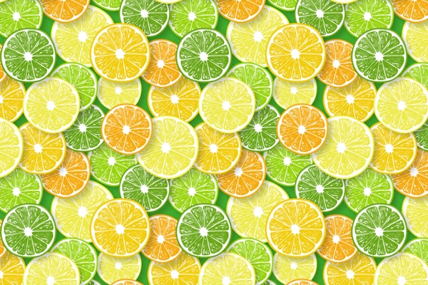 Citrus fruit slices 2