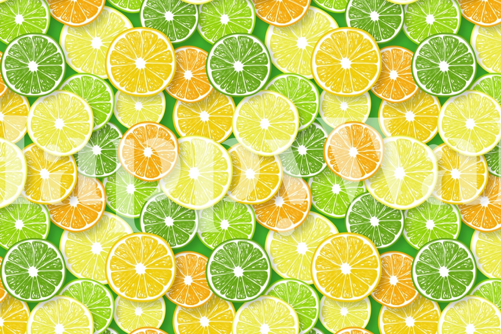 Citrus fruit slices wallpaper design