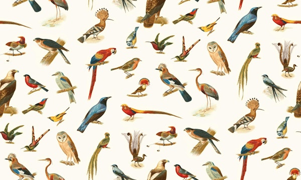 Vintage Birds - Pattern