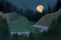 Midnight Forest Full Moon Valley wallpaper