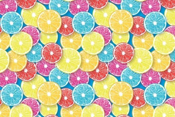 Citrus fruit slices 3