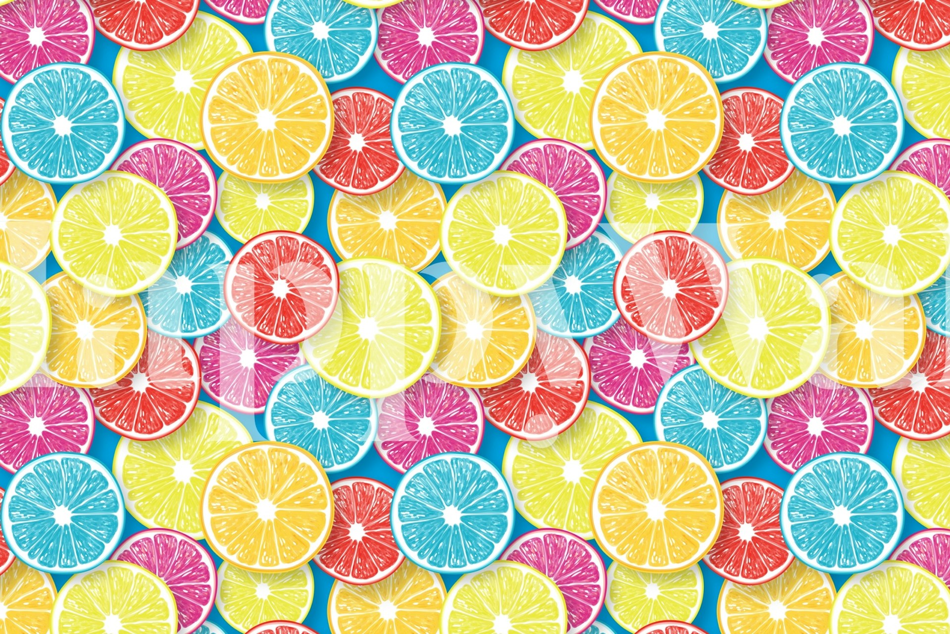 Colorful citrus fruit slices wallpaper in a room