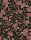 Dark Romantic Pattern - Pink and Charcoal