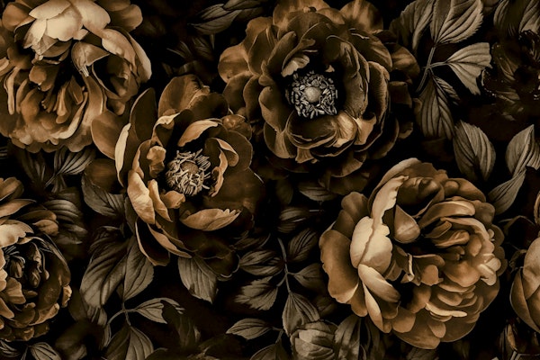 Midnight Garden Baroque Blooms Brown