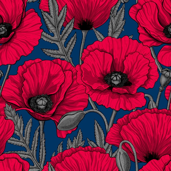 Red poppy garden