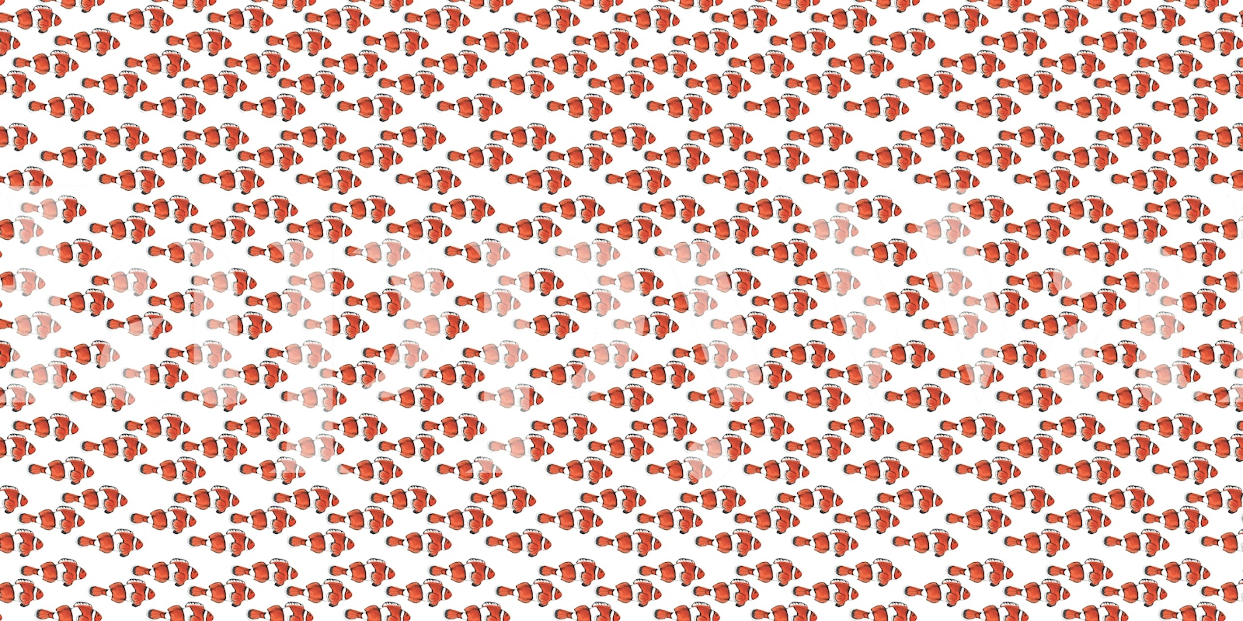 Repeated pattern of red fish on a white background wallpaper
