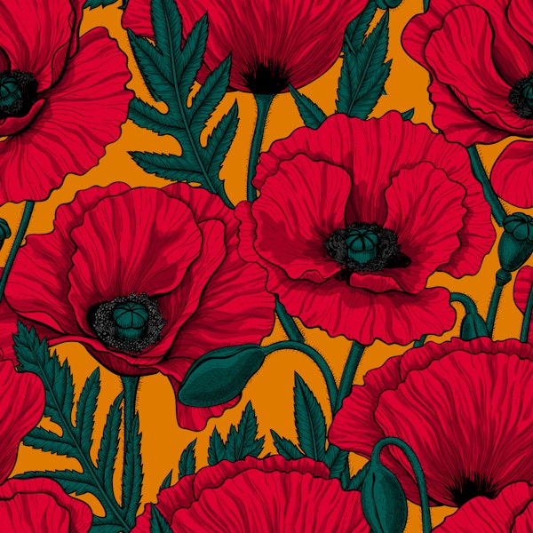 Red poppy garden on orange