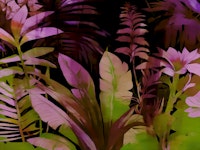 Floral Jungle Leaf Dream wallpaper