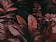 Floral Jungle Leaf Dream