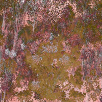 Moody Dream Garden papiers peint