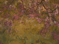 Moody Dream Garden wallpaper
