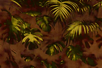 Muted Moody Rainforest Jungle papiers peint