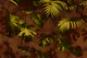 Muted Moody Rainforest Jungle