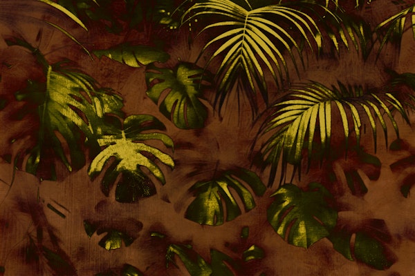 Muted Moody Rainforest Jungle