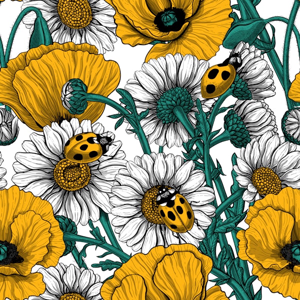 The meadow in yellow