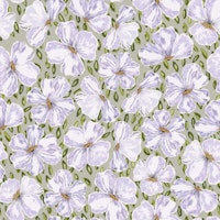 Pansies on green behang