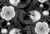 Birds and peony flowers monochrome, gray ταπετσαρία