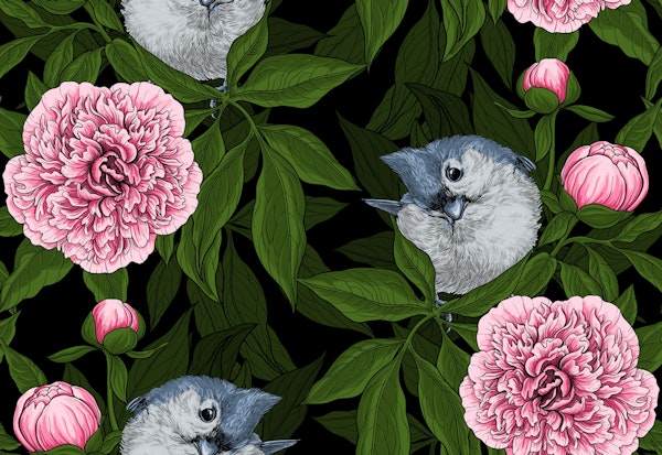 Birds and pink peony flowers