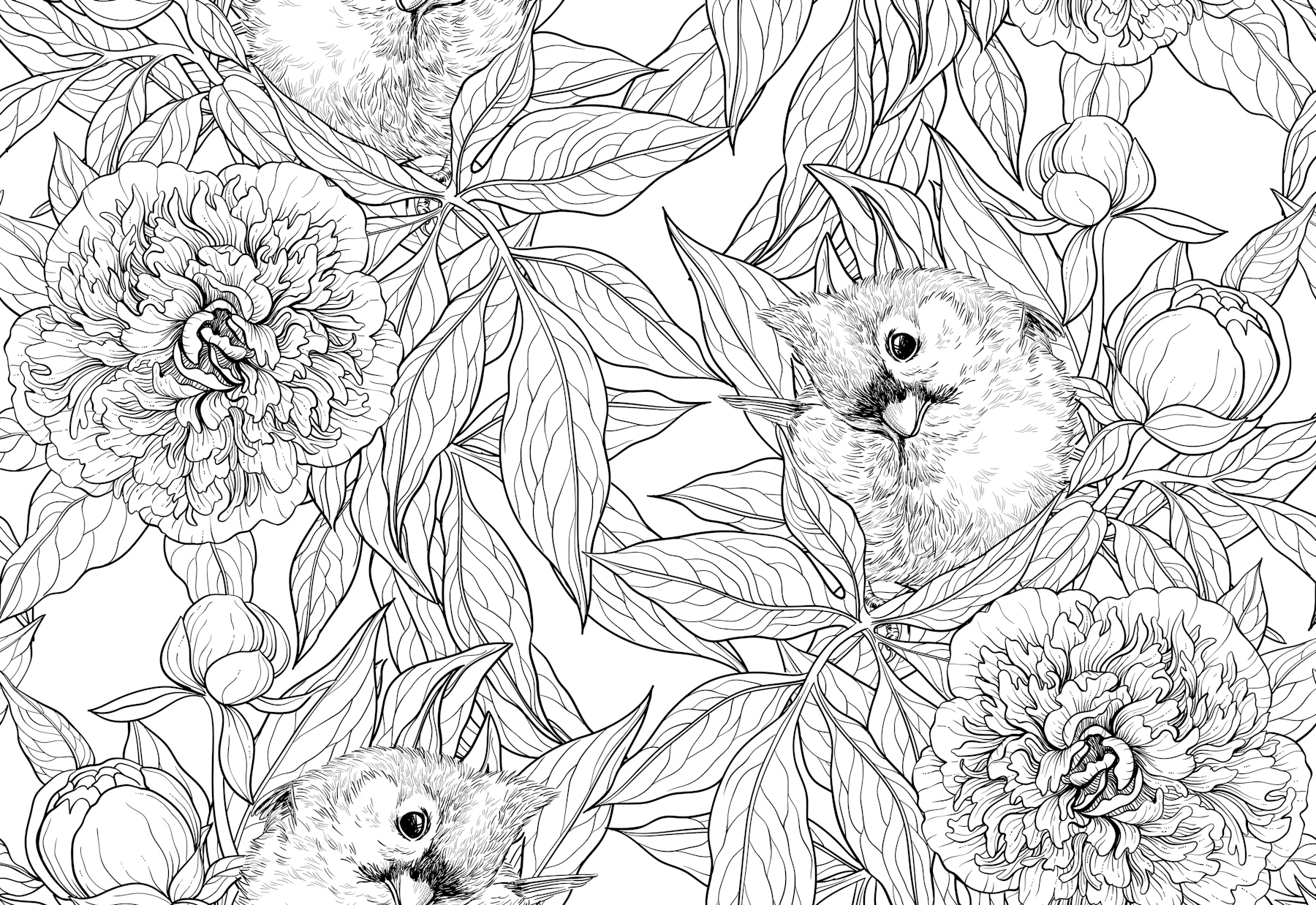 titmouse