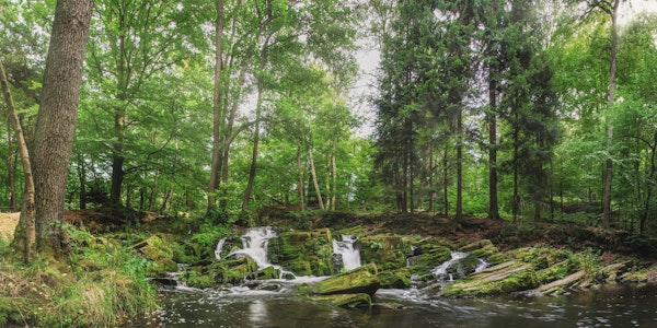 Waterfall at Harz Moutain