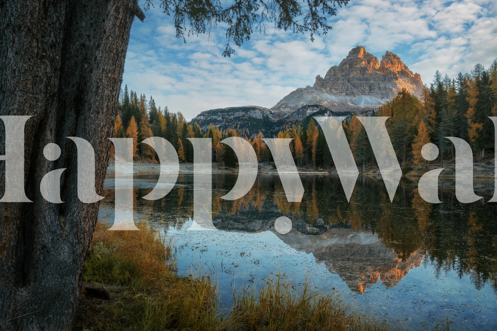 Dolomites at sunrise wallpaper in a room
